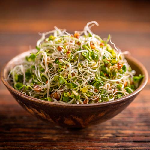 1 pac, Germeni Schinduf - Semințe: Mod de ambalare: 20 g