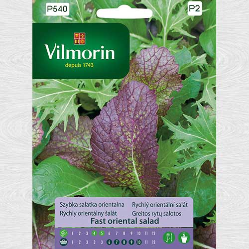 1 pac, Salată orientală, amestec - Semințe: Mod de ambalare: 2 g