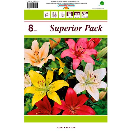 8 buc, Crin LA-Hybrid mix multicolor - Bulbi: Mod de ambalare: 8 buc