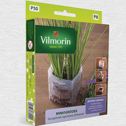 1 pac, Kit de gradinarit - Arpagic Bohemia - Semințe: Mod de ambalare: 2 g