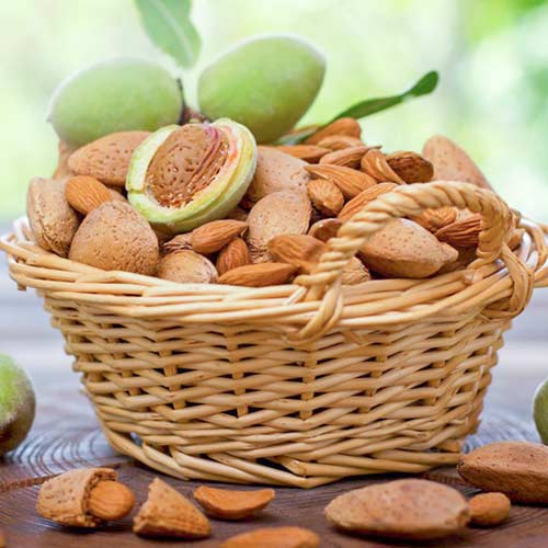 1 buc, Migdal Autofertil - Puieți: Mod de ambalare: 1 buc