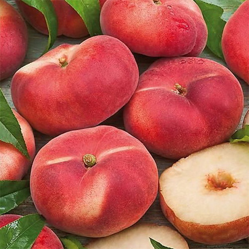 1 buc, Piersic Saturn - Puieți: Mod de ambalare: 1 buc