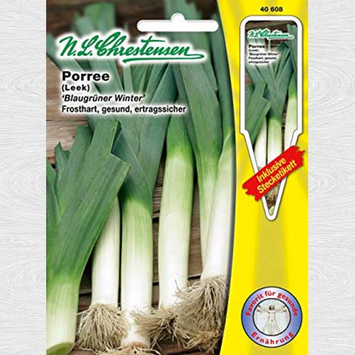 1 pac, Praz Blaugruner Winter - Semințe: Mod de ambalare: 1 pac