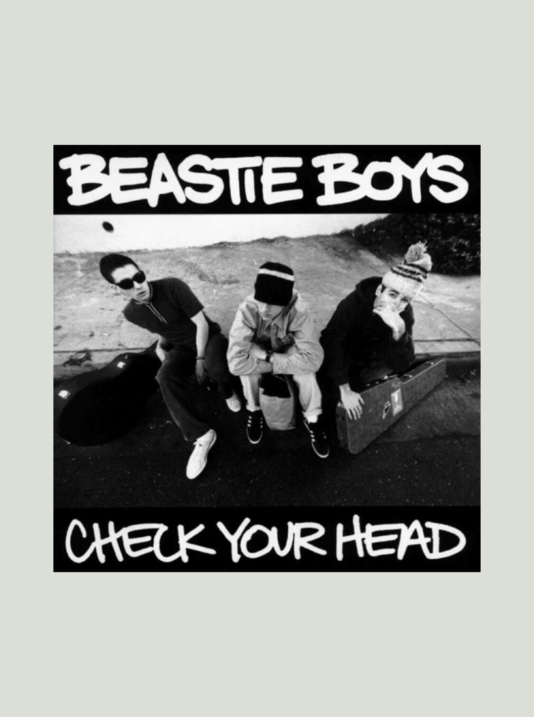 Płyta winylowa The Beastie Boys - Check Your Head (180g)