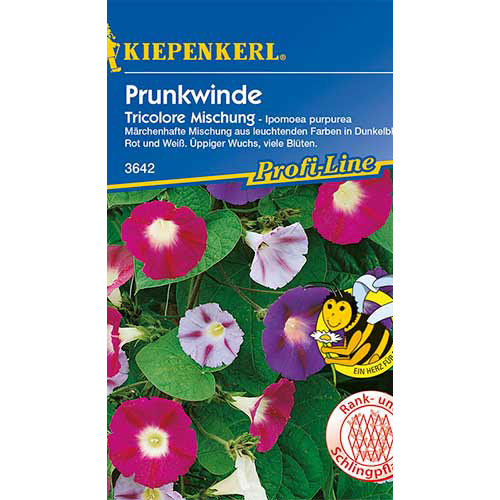 1 ob, Povíjnice purpurová Tricolor, směs - : Monžstvo balíkov: 1 ob