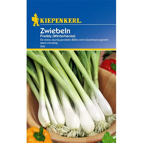 1 szt, Zöldhagyma Winterhecke - Magok: Mod de ambalare: 1 db