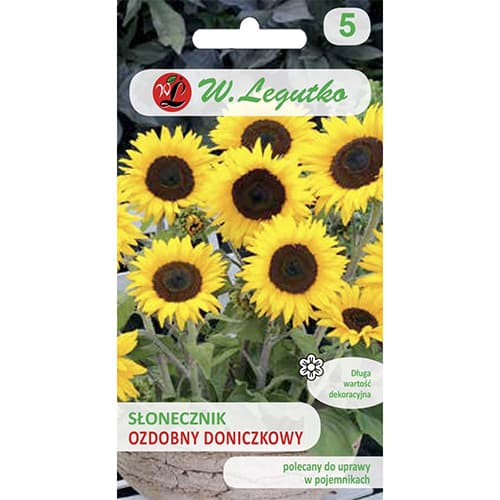 1 szt, Sonnenblume Polino Cola - Samen: Ilość w opakowaniu: 1 g