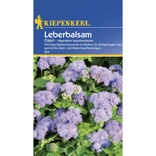 1 szt, Chrysantheme Capri - Samen: Ilość w opakowaniu: 1 Stück