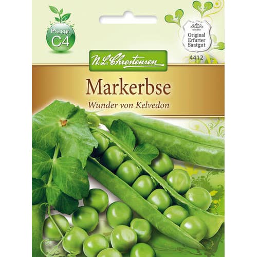 1 szt, Markerbse Wunder von Kelvedon - Samen: Ilość w opakowaniu: 1 Stück