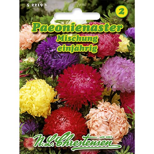 1 szt, Peonienaster Mischung - Samen: Ilość w opakowaniu: 1 Stück