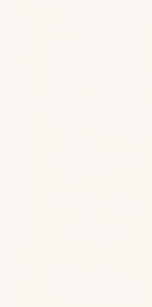 Paradyż płytka ścienna 60x30 cm biała