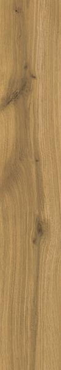 Paradyż Freeland Gold płytka ścienno-podłogowa 19,8x59,8 cm złoty mat