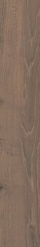 Paradyż Wildland płytka ścienno-podłogowa 14,8x89,8 cm STR ciemny brązowy