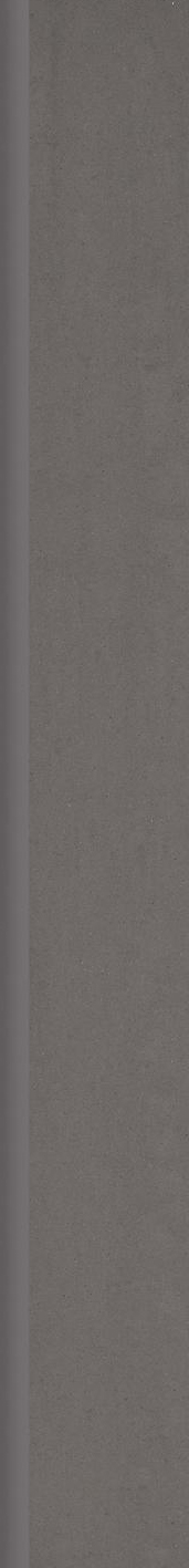 Paradyż Doblo Grafit cokół podłogowy 7,2x59,8 cm