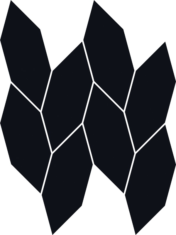 Paradyż mozaika ścienna 22,3x29,8 cm uniwersalna torton czarny połysk