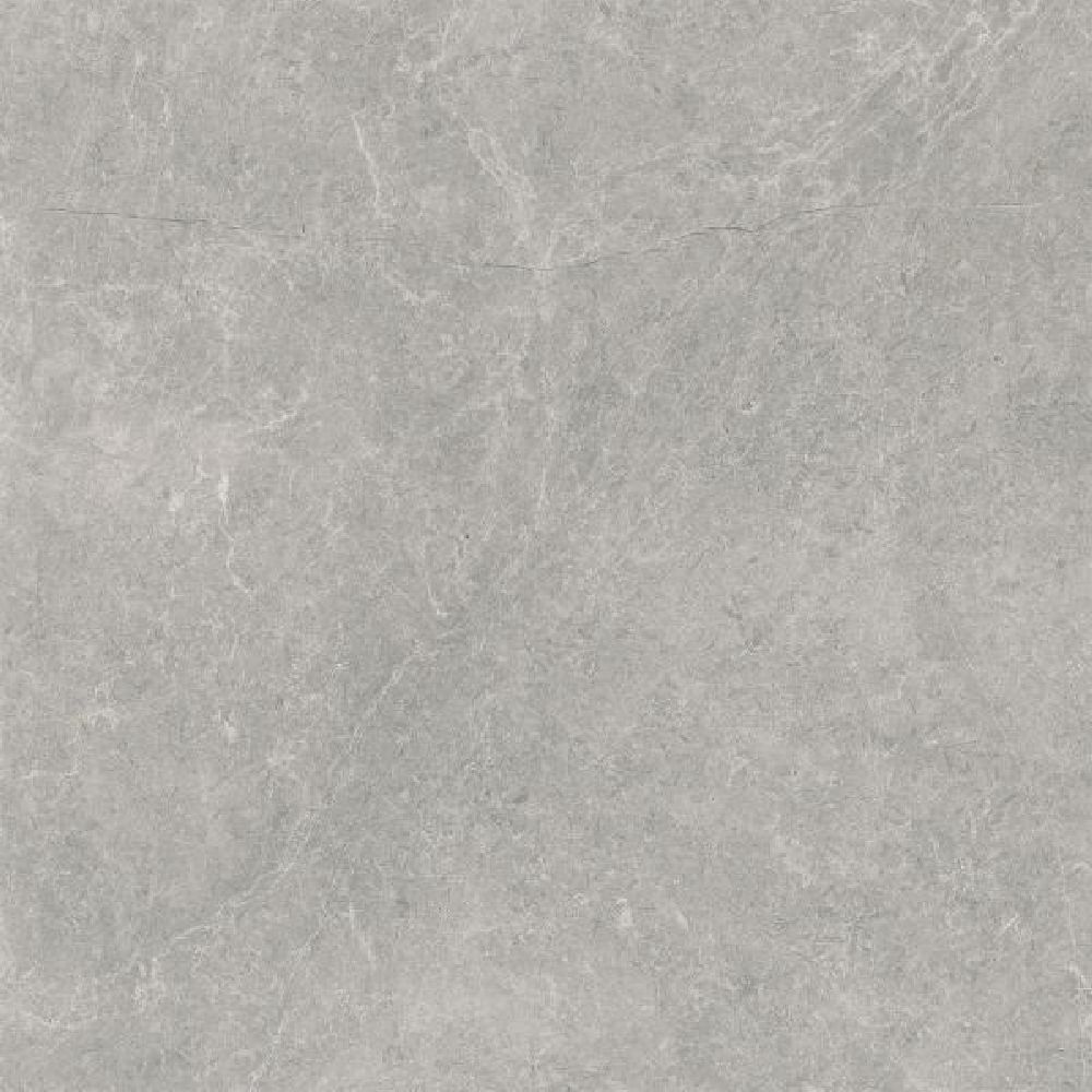 Paradyż U118 Grey płytka ścienno-podłogowa 59,8x59,8 cm szara