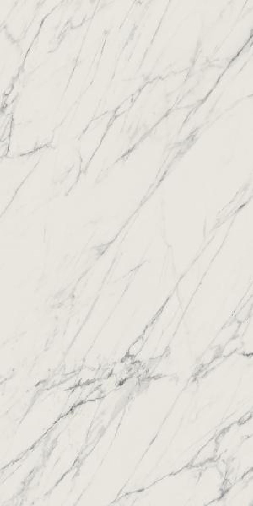 Paradyż Elite płytka ścienno-podłogowa 119,8x59,8 cm biała