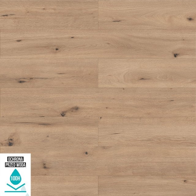 Panele podłogowe WENINGER AMBIANCE DĄB CANORA AC5 8 mm