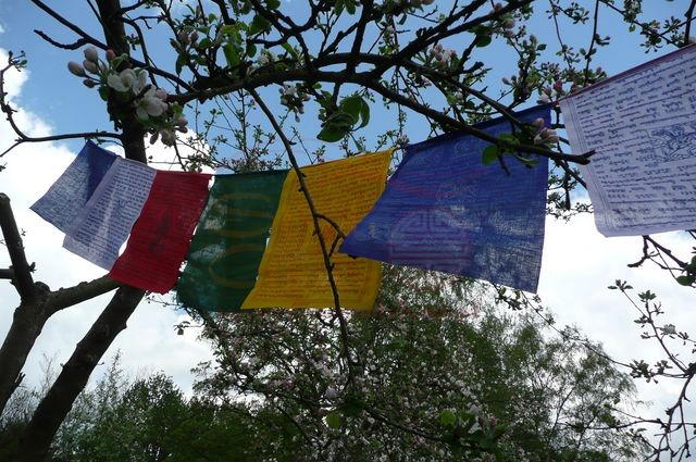 Flagi modlitewne z mantrami (długość 270cm)