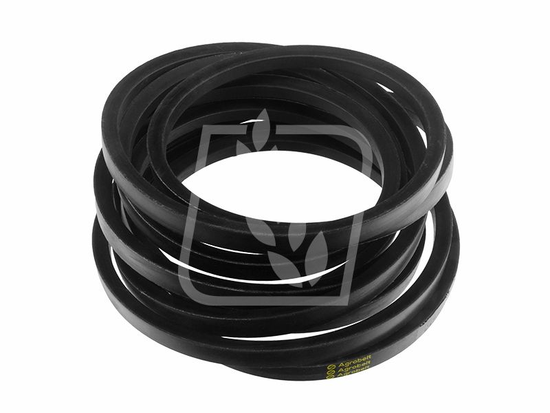 Pas 061360 22 x 8229