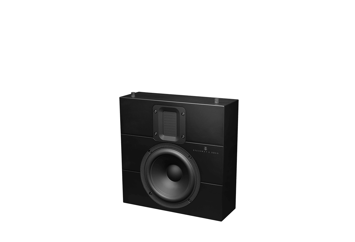 Głośnik steinway & lyngdorf iw-16