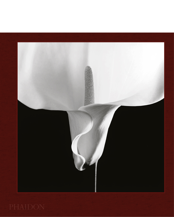 Mapplethorpe Flora. The Complete Flowers