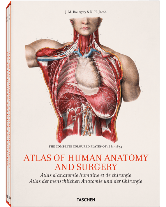 Bourgery. Atlas of Human Anatomy and Surgery