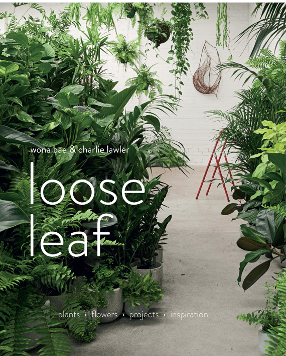 Loose Leaf. Flowers and Plants