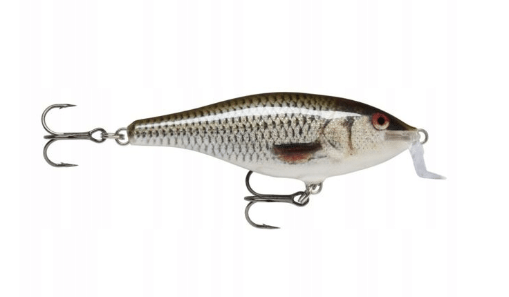 Rapala Wobler Shallow Shad Rap Pływający 7cm ROL