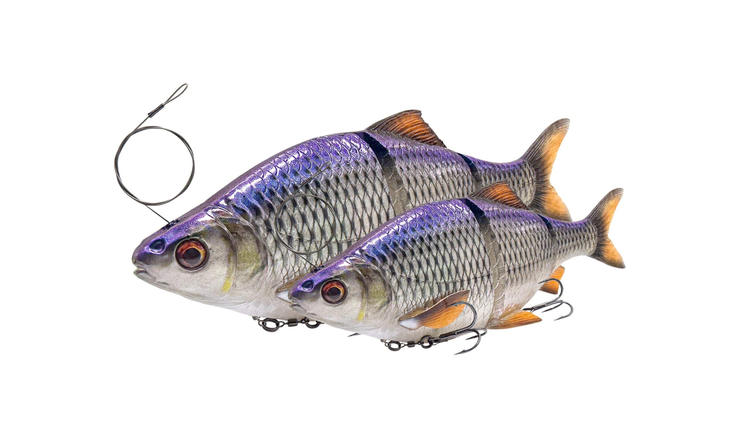 Savage Gear Guma 3D LT Roach 25CM 206G SS Blue Roach