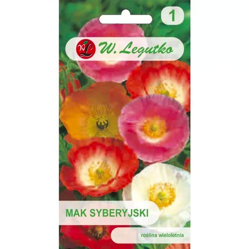 1 szt, Mak syberyjski, mix - Nasiona: Ilość w opakowaniu: 0.5 g