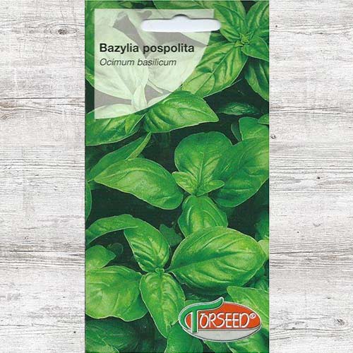1 szt, Nasiona Bazylia zielona - Nasiona: Ilość w opakowaniu: 0.2 g