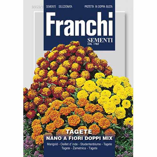 1 szt, Aksamitka wzniesiona pełna, mieszanka kolorów Morami - Nasiona: Ilość w opakowaniu: 2.5 g