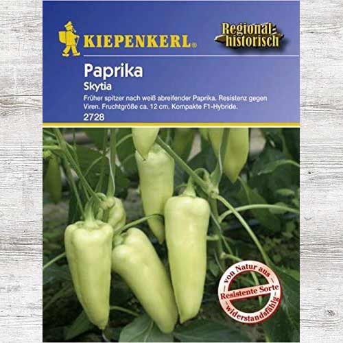 1 szt, Papryka słodka Skytia F1 - Nasiona: Ilość w opakowaniu: 1 opak