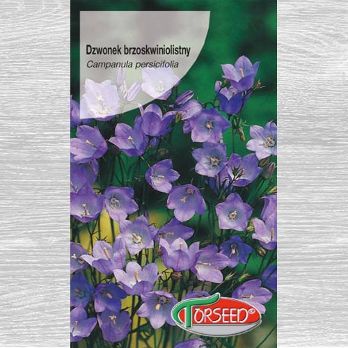 1 szt, Dzwonek brzoskwiniolistny niebieski - Nasiona: Ilość w opakowaniu: 0.2 g