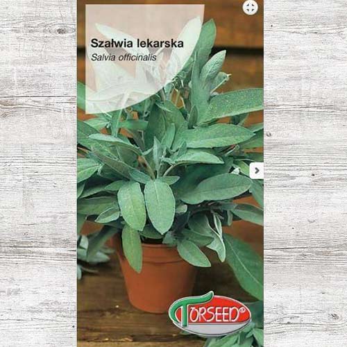1 szt, Szałwia lekarska, nasiona - Nasiona: Ilość w opakowaniu: 1 g
