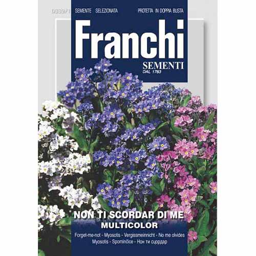 1 szt, Niezapominajka alpejska, mieszanka kolorów Morami - Nasiona: Ilość w opakowaniu: 0.8 g