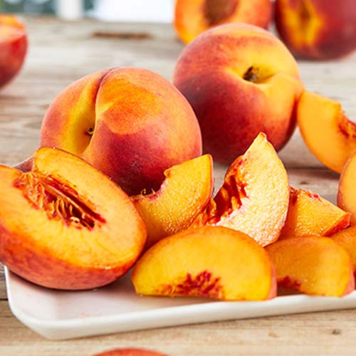 1 sadz, Brzoskwinia RubyTu - Sadzonki: Ilość w opakowaniu: 1 sadz