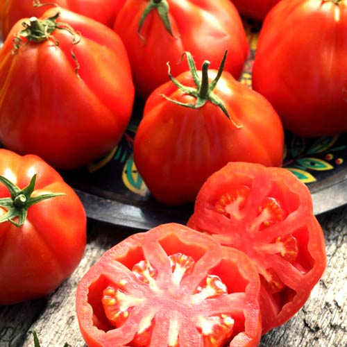 1 szt, Pomidor Red Pear - Nasiona: Ilość w opakowaniu: 0.50 g