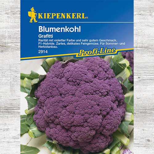 1 szt, Kalafior Grafitti F1 - Nasiona: Ilość w opakowaniu: 1 opak