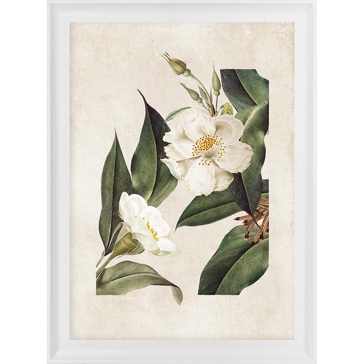 ARS LONGA Obraz FLOWER no.2 58 x 78 cm