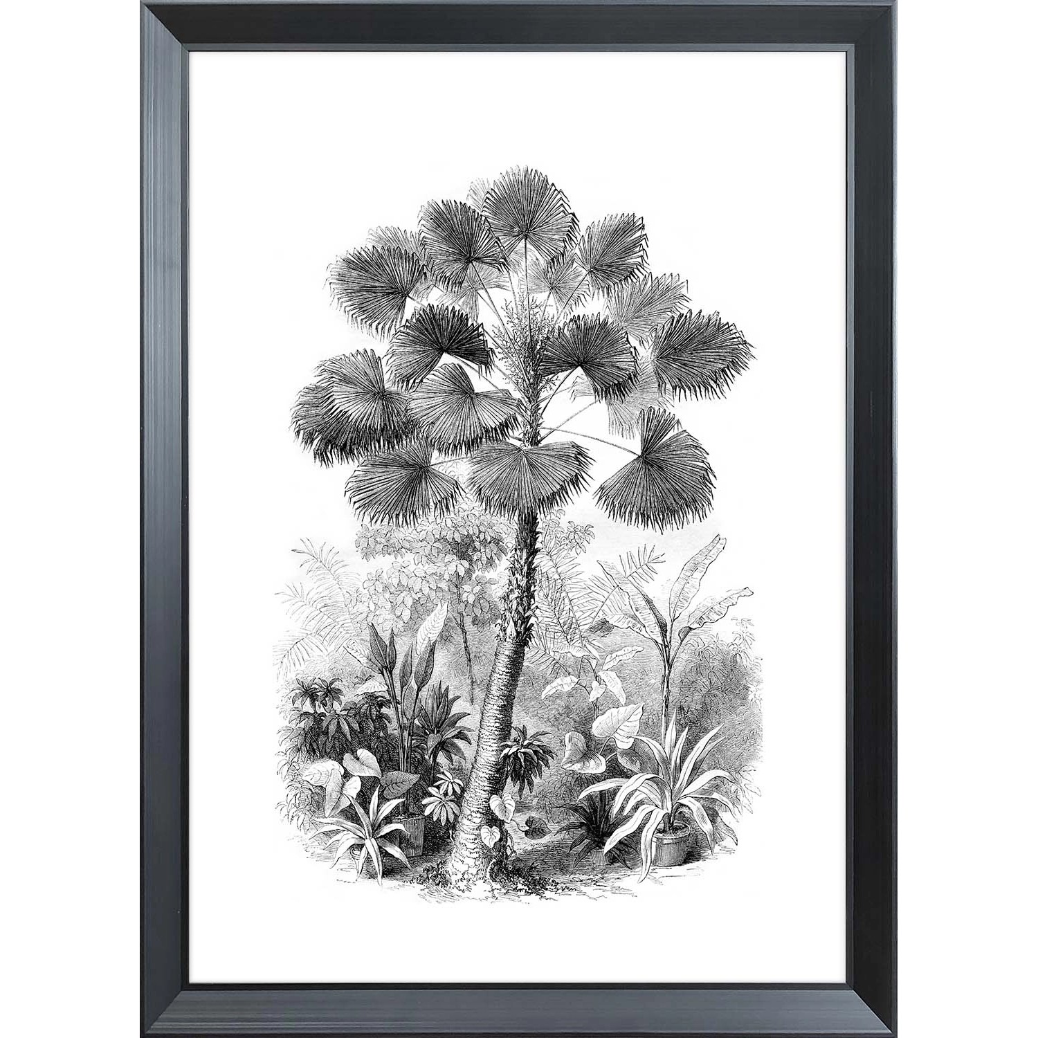 ARS LONGA Obraz PALM TREE 55 x 75 cm