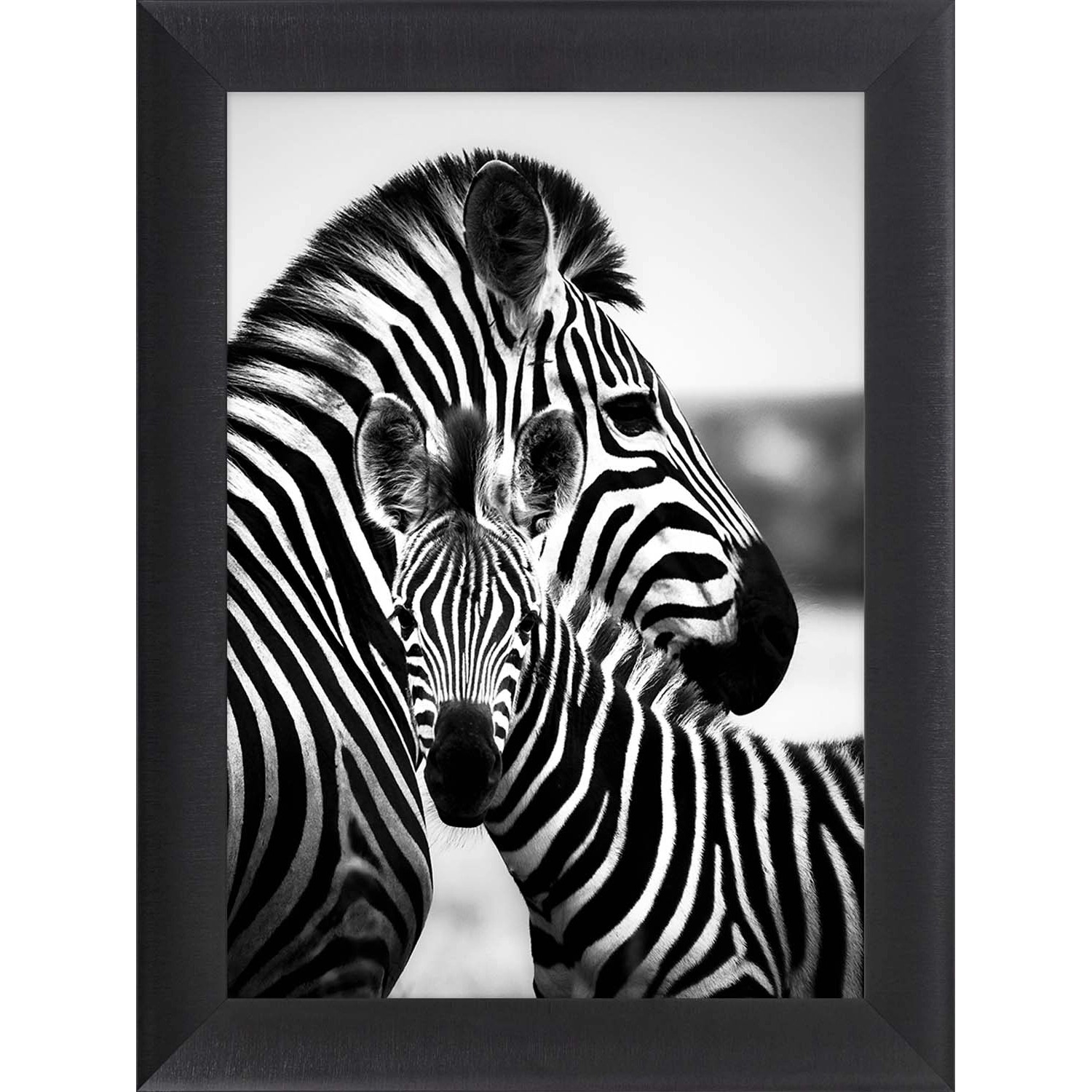ARS LONGA Obraz HUGGING ZEBRAS 64 x 84 cm