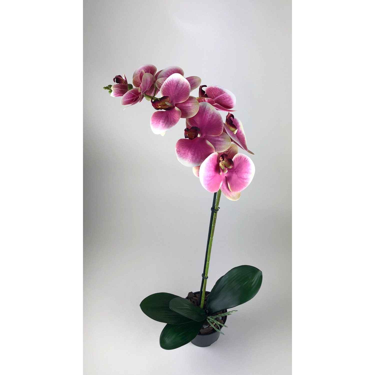 Storczyk sztuczny Premium 9 kwiatów wys. 80cm