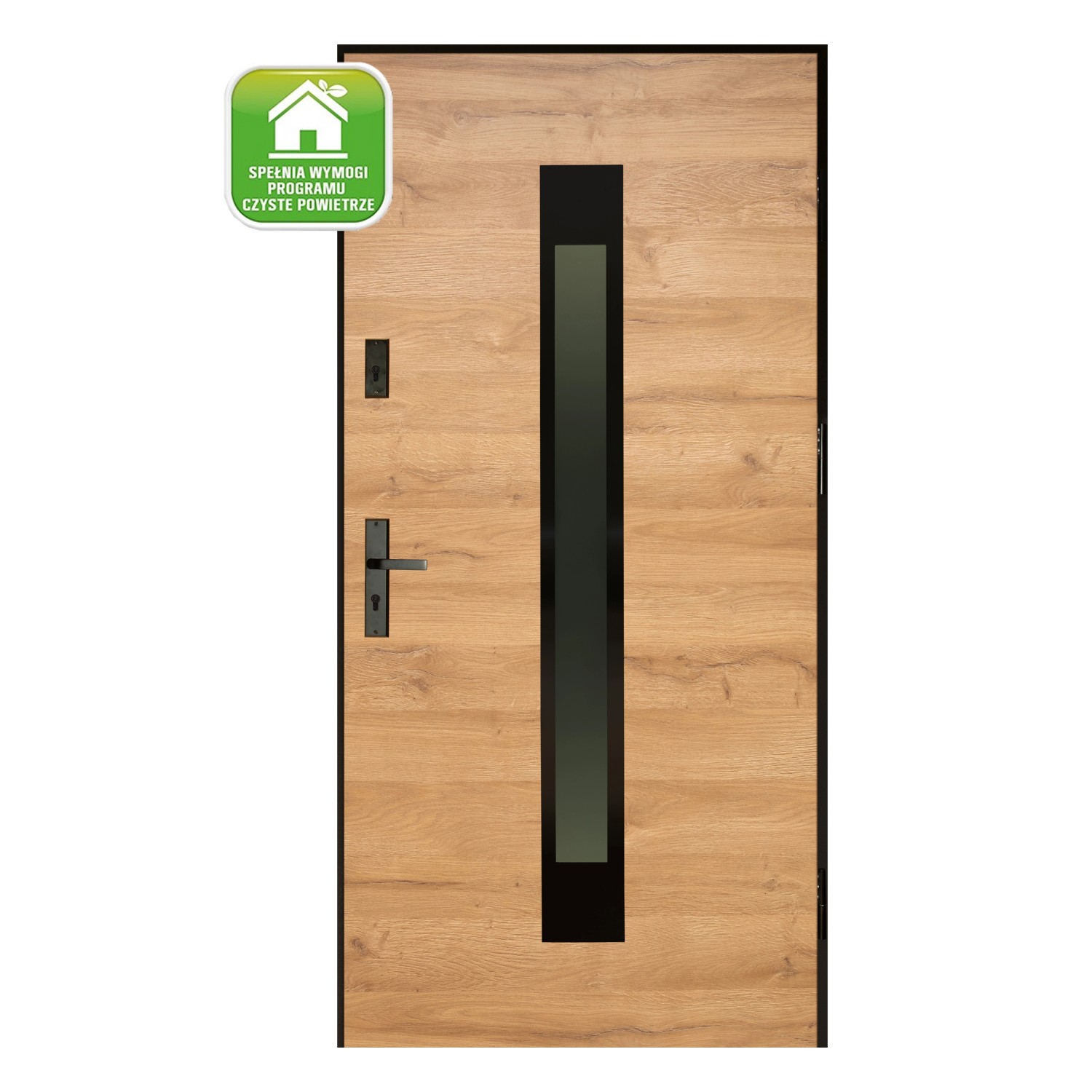 Splendoor Drzwi zewnętrzne Satis Grandson 90P