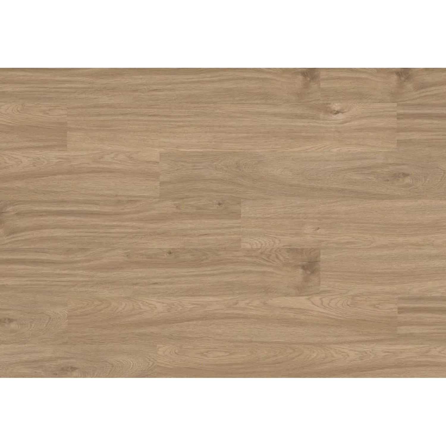 Kronospan Panel podłogowy Dąb Mersin 8 mm AC 5