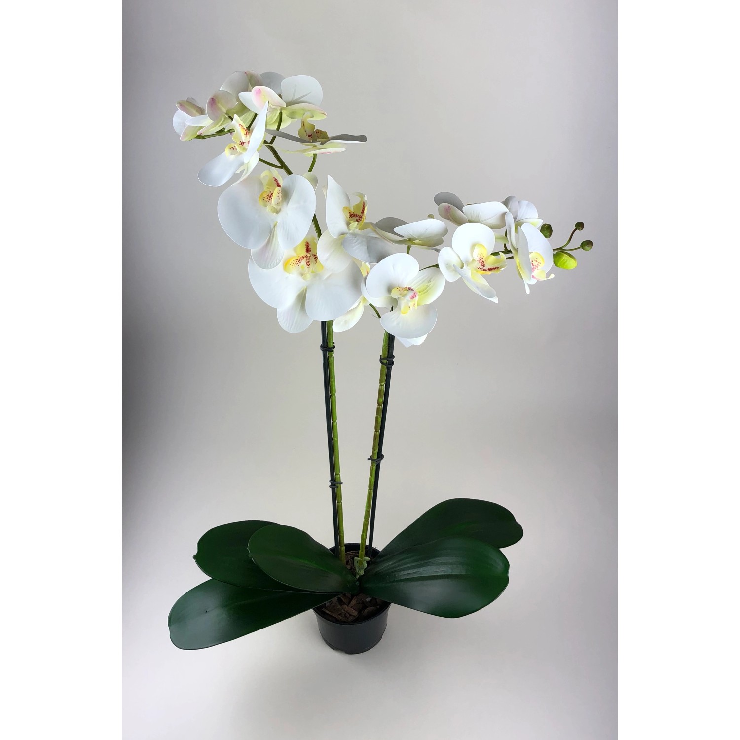 Storczyk sztuczny Premium 18 kwiatów wys. 80cm