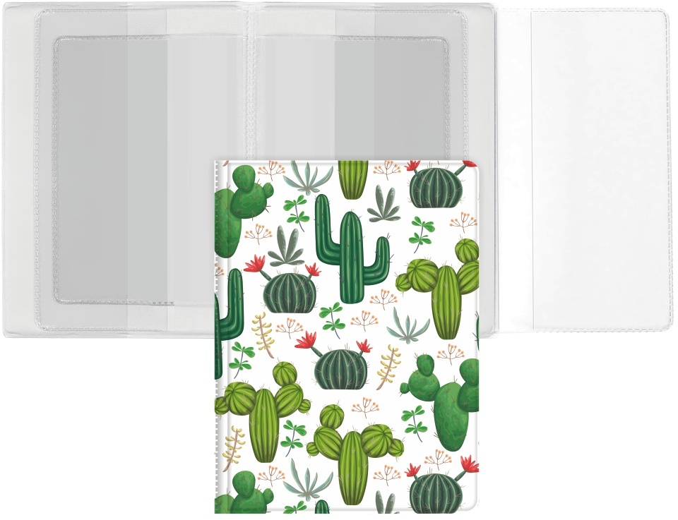 Okładka na dokumenty z dowodem rejestracyjnym Biurfol Kaktus, wielokolorowy