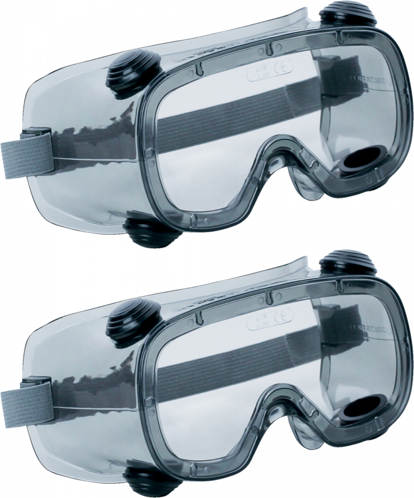 2x Gogle ochronne Delta Plus RUIZ1, bezbarwny