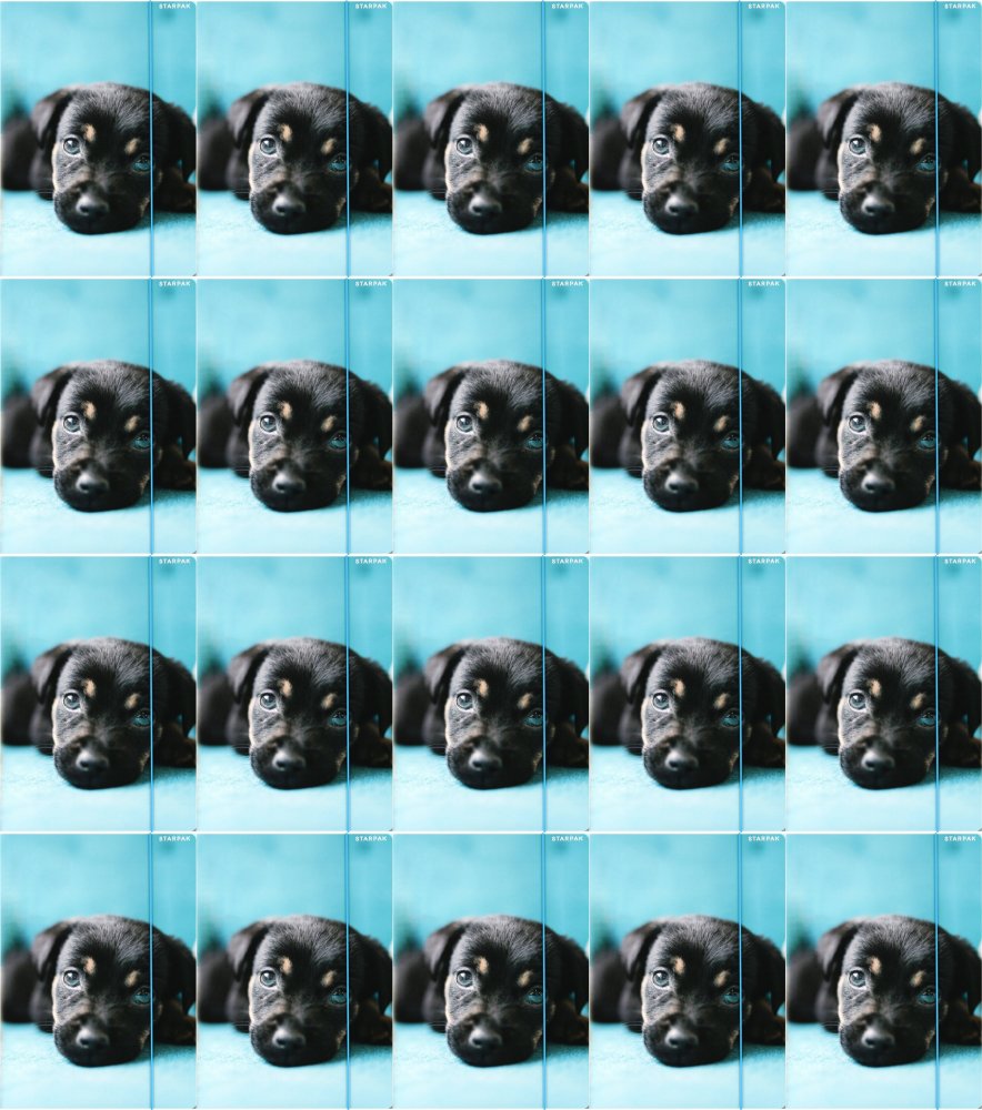 20x Teczka z gumką Starpak Doggy 2, A4, mix wzorów